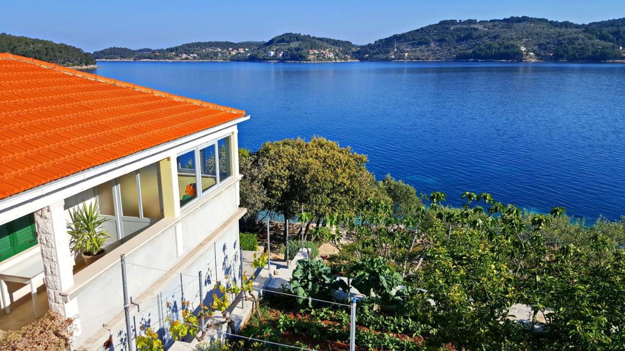 Holiday Home Katica Vela Luka Dış mekan fotoğraf